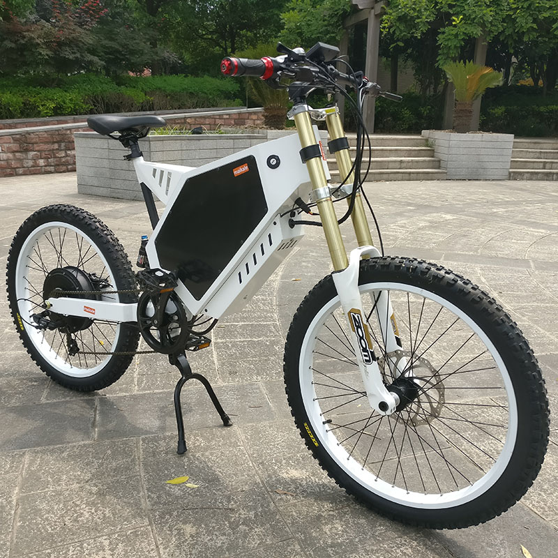 Electric Bike