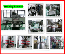 MTXG-300 automatic linear screw capping machine/capping machine pack automatic