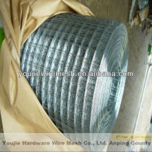 galvanized welded wire netting welding wire mesh