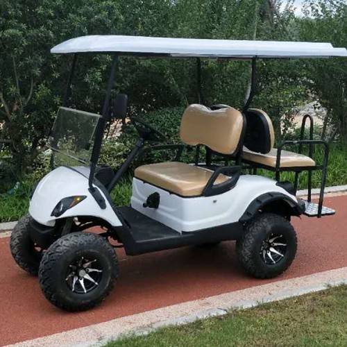 4 seat electric fashion golf cart