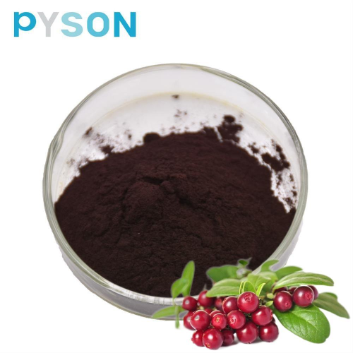 Bilberry Extract Vaccinium Uliginosum L.25%