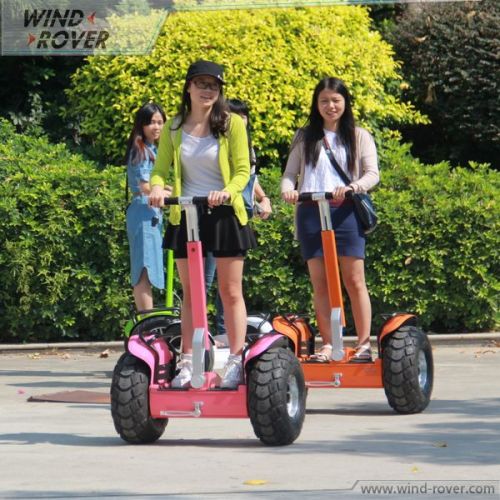 off Road 2 Wheel Electric Standing Scooter