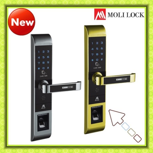 Fingerprint combination mechanical lock, stainless steel lever handles