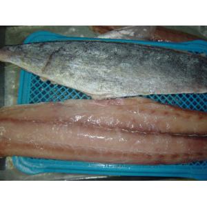 Högkvalitativ skaldjur frysta Stilla havet Saury
