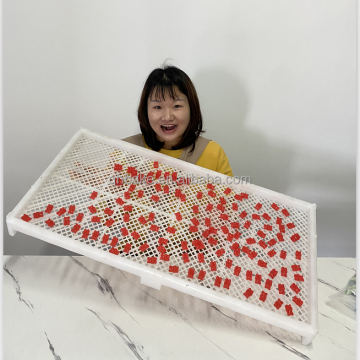 Plastic Shallow Baskets and Drying Trays for Candy Production