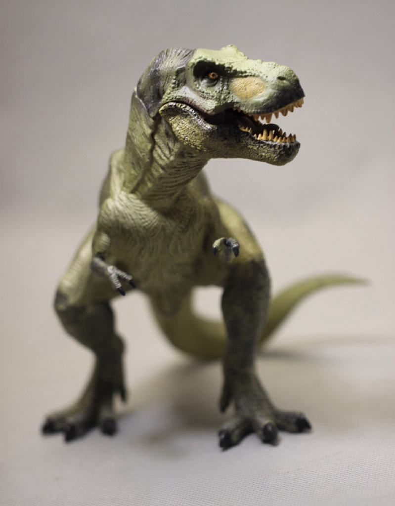 _20250304122917 _20250304122917