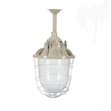 ATEX Nuclear Exproof LED Explosion-Proof Lights and Fixtures for Zone 2