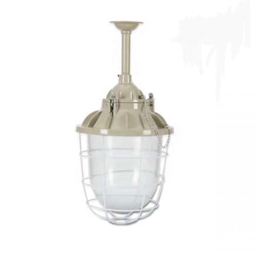 ATEX Nuclear Exproof LED Explosion-Proof Lights and Fixtures for Zone 2