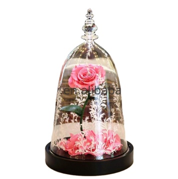 Best Valentine's Day Gift: Preserved Flower Beauty and the Beast Enchanted Rose
