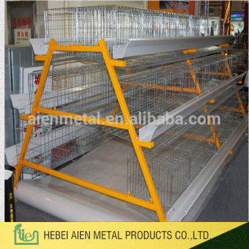 poultry design layer chicken cages