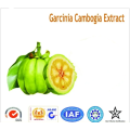 Лучшая цена гидрокси лимонная кислота garcinia cambogia экстракт