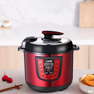 Multi-purpose digital instant pot pressure cooker