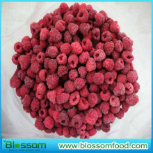 IQF Frozen Raspberry