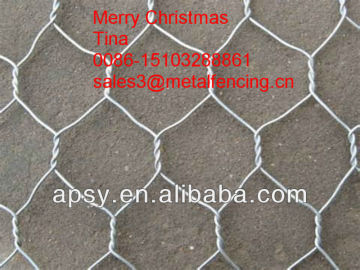 Diamond net/hexagonal wire mesh/Gabion box