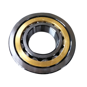 Single-Row Cylindrical Roller Bearing