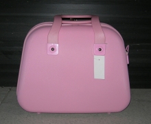 ABS luggage