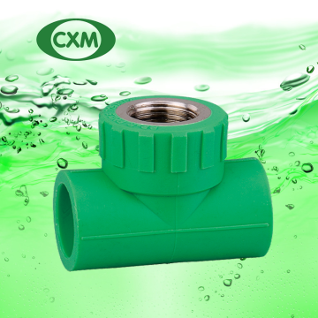 PP-R female threaded tee