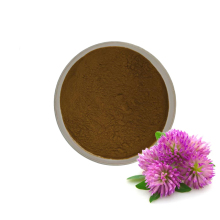 CNCSBIO bulk clove extract