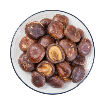 Vacuum Fried Shiitake Mushroom Chips: A Low Temperature Drying Snack Option