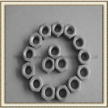 HDG Nuts Fasteners Exporter