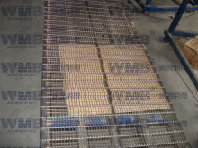 Wire Wring Mesh Belt with ISO9001