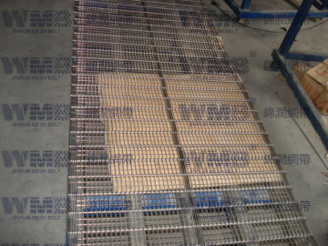 Wire Wring Mesh Belt with ISO9001