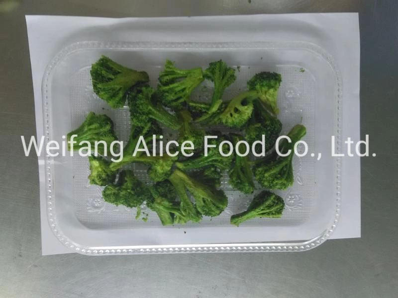 Best Price Crispy Snack Vacuum Fried Broccoli