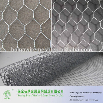 Hexagonal wire mesh screen