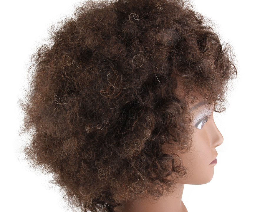 Alileader Wholesale African Female Cheap Mannequin Head Afro Training Mannequin Head