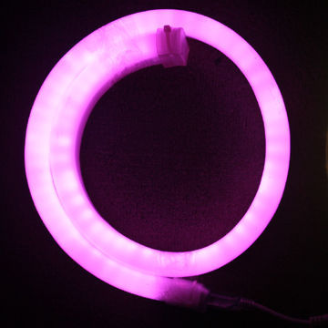 LED flexible neon lights with pink bulbs, 12, 24, 110, 220V