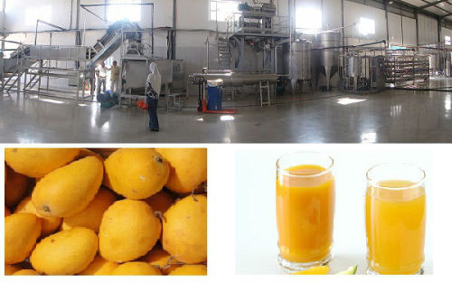 natural fruit juice processing machine