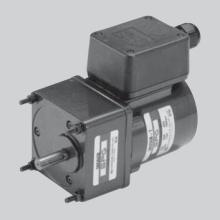 SPG ac 25w 80mm terminal box motor