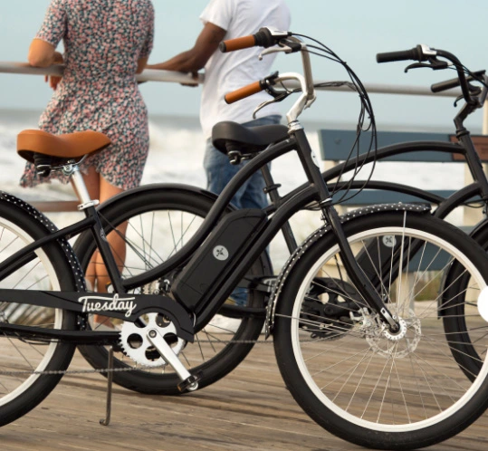 OEM City Adult Electrical Bicycle with LG/Samsung Cells