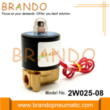 1/4 &#39;&#39; 2W025-08 Pirinç Solenoid Valf Su 24V 220V