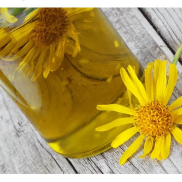 Wholesale bulk arnica oil