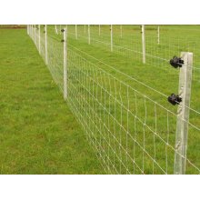 Advanced technology twin wire fencing