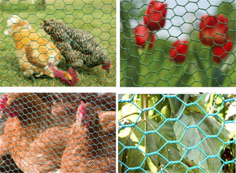 hexagonal chicken netting mesh