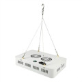 Factory Directe verkoop tuinbouw 600W LED licht groeien