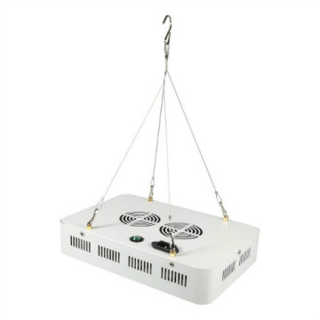 Venda Direta Da fábrica Horticultural 600 W LED Grow Light