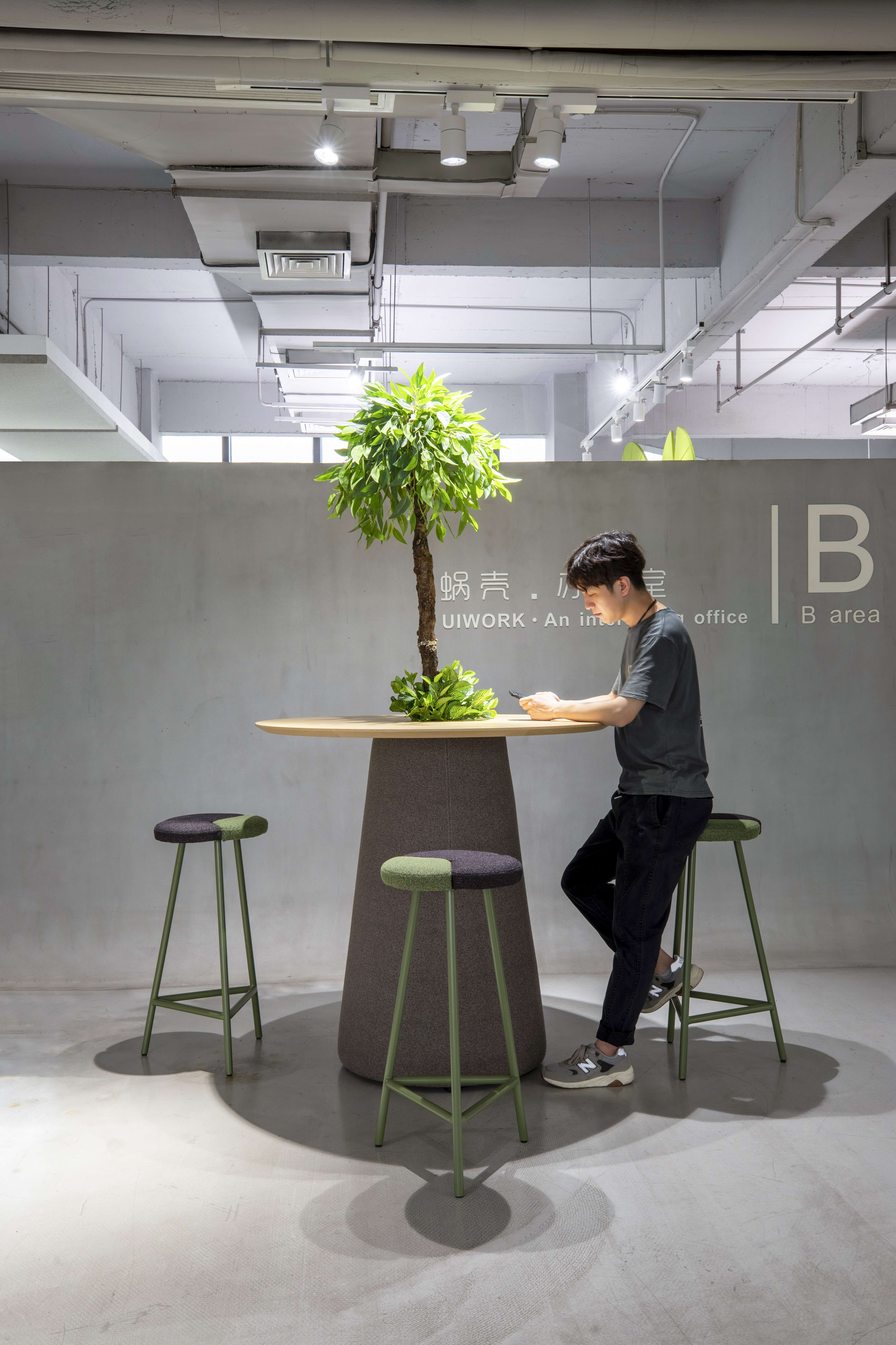 Tree-A2-104 Tree-A2-104