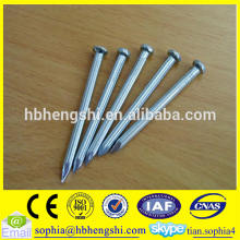 iron nail 1''-6''/ cheap price iron wire nail /iron nail common nail