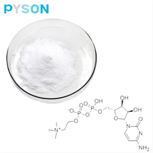 Citicoline powder In-house standard