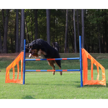 Set di salto di agilità del cane