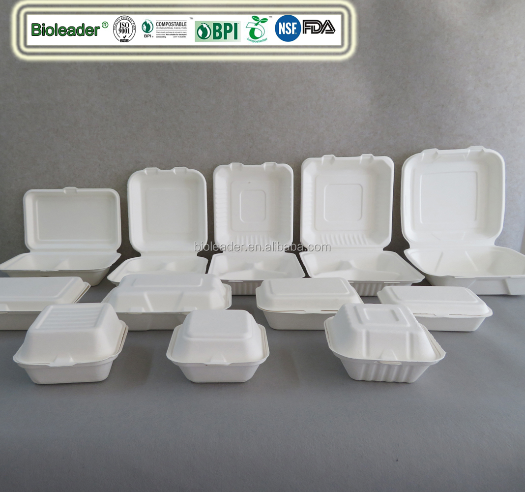 Biodegradable Bagasse Food Containers Take Out Box with 2 Compartment