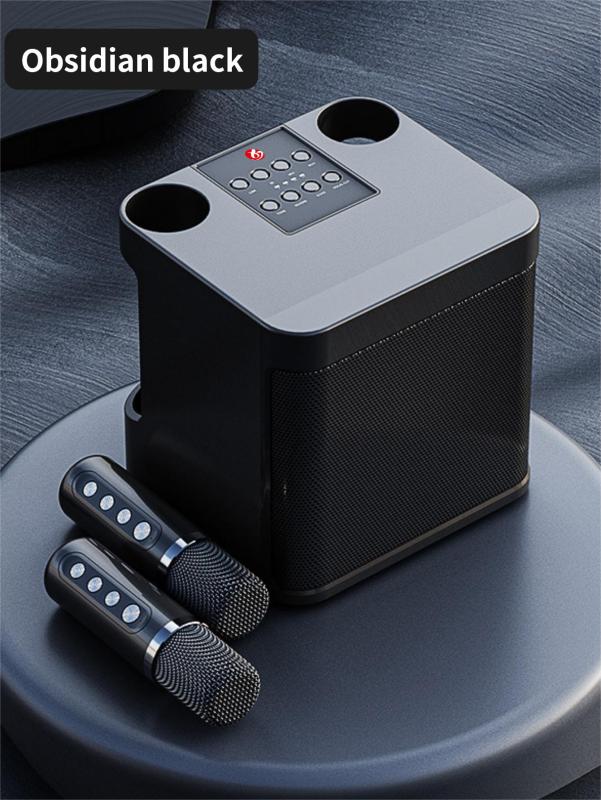 HiFi Wireless Bluetooth Mini KTV Karaoke Speaker with dual microphone