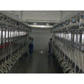 Parallel milking parlor for cows