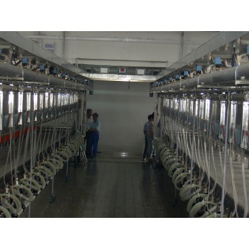 Parallel milking parlor for cows