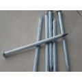 Galvanized Concrete Steel Nails