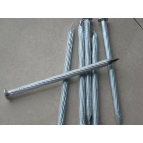 Galvanized Concrete Steel Nails