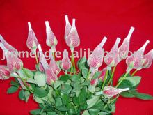 Non Foam Production Machine